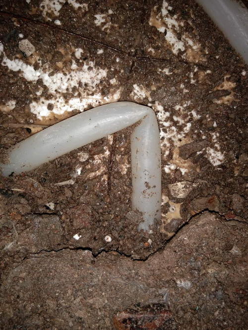 元阳堵点精准查找